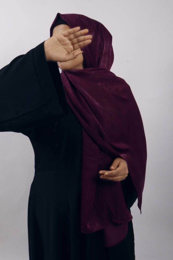 Mulberry Muse Velvet Chiffon Hijab