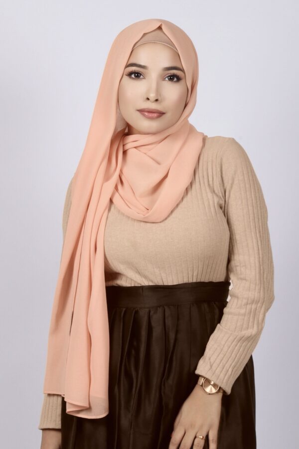 Princess Premium Chiffon Hijab